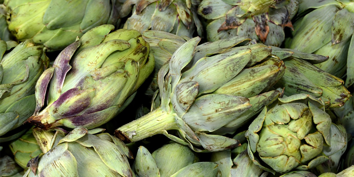 Carciofi siciliani falcidiati dalla siccità: non ci sarà il secondo raccolto